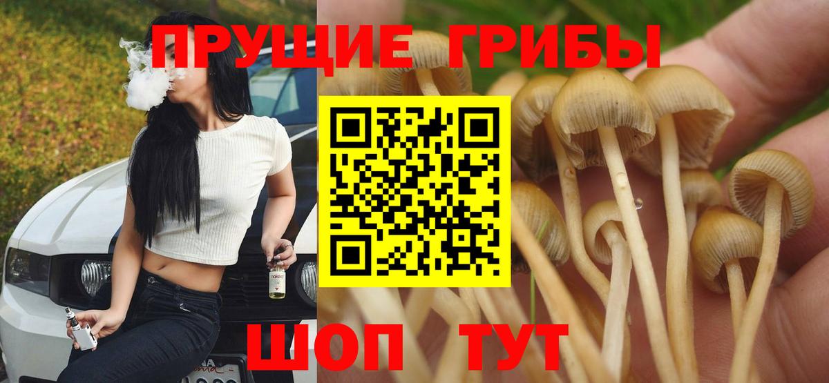 Моздок  Псилоцибиновые грибы Magic Shrooms  Вход с VPN 